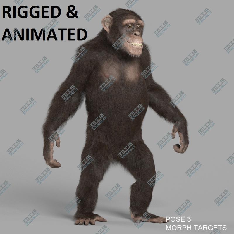 images/goods_img/20210115/3D Woman Rigged VRayNext/1.jpg